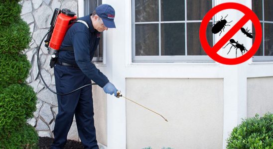 Silifke Kene İlaçlama böcek ilaçlama ve haşere kontrolü — ilaclama-tr.com